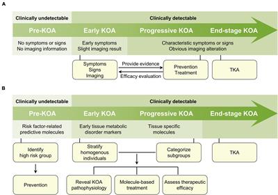 Molecular Classification of Knee Osteoarthritis